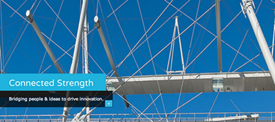 bizknowlogy connected strength